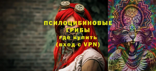 соль ск Алексин