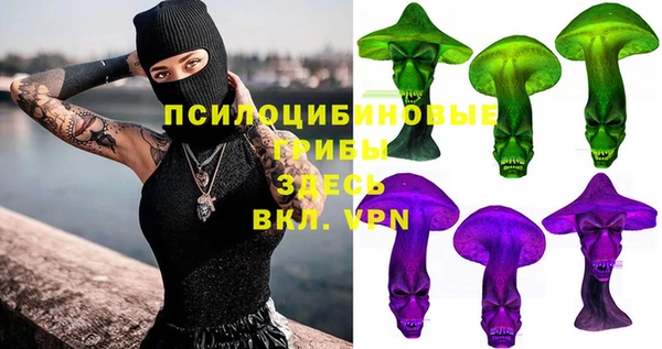 соль ск Алексин