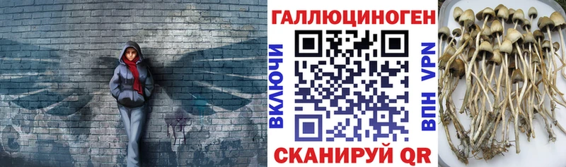 Галлюциногенные грибы GOLDEN TEACHER Александровское